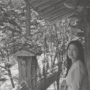 로이스커피 - 과천시 과천대로7나길 48 | 로이스커피