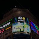 멜로디노래연습장 이미지