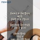 인셀덤매니아 이미지