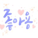 그루밍 애견미용 이미지
