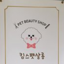 킴스애견미용실 이미지