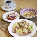 닭고기 채소 된장 볶음 덮밥과 중국식 소고기 채소 볶음 덮밥 이미지