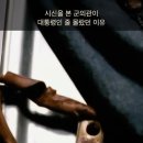 1979년10 월27일 시신을 확인한 군의관 이미지