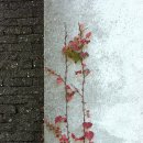 섬노을 이미지