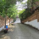 분당-283 이미지