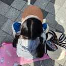 은혜학교 | 2024 광주광역시교육청 수학·과학 축제 방문 후기 :)