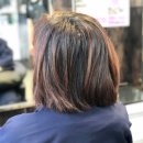 한돌님헤어샵 | 이대 미용실 보브컷은 데몬헤어 이대점 (태준 디자이너)