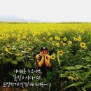 대치동 남자머리 잘자르는 곳, 제임스 최 바버샵 이전 후 첫 방문 후기