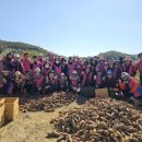 인천광역시 농업기술센터 이미지