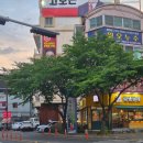 미도파 나들가게 | 울산 태화동 맛집 유쾌한낙지 태화강국가정원 근처 보쌈 가족외식 추천 밥집 룸식당
