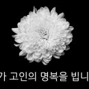 포항시민전문장례식장 이미지