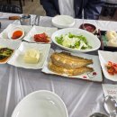 백경 | 영덕 물회 맛집 백경횟집 내돈내산 후기 ( 찐 물회맛집 !! )