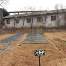 주동농장 이미지