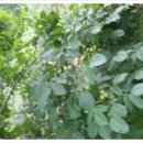 반야농장 이미지