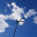 나미송머무는곳 민박 이미지