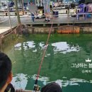 가슬송 이미지