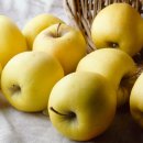 황금개발 이미지