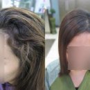 필헤어테크 네이버블로그