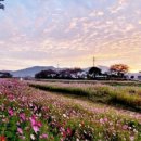 다시면행정복지센터 이미지