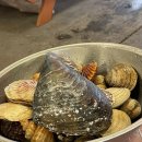 당진 삽교천 조개구이 맛집 보경이네 불타는조개구이 후기