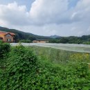 푸릇푸릇펜션 이미지