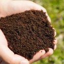 송인농장 이미지