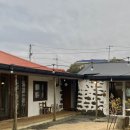 하도리 오길 잘했어 네이버블로그