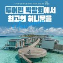 투어민 - 강남구 논현로 507 | 투어민