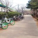 관악동작견인차량보관소 이미지