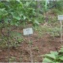 경성한의원 이미지