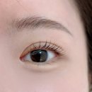 선브로우