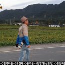 예향천리마실길 6코스 방장산길 이미지