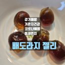 배도라지 젤리 환절기 감기 미세먼지 최고