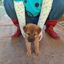 사산경로당 이미지