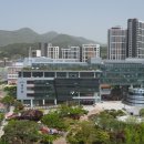 남구-8 데일리한국