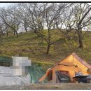 천안밤나무골가족사랑캠핑장 이미지