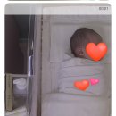 삼성산후조리원원 | 청주 프라우 삼성산후조리원 스위트룸 후기