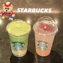 (주)조이플 | 2025 스타벅스 X 월리를 찾아라🎅🏻프리퀀시 이벤트부터 겨울 신메뉴 후기까지! (핑크팝 캐모마일·코코말차)