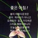 봉이막창 이미지