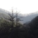 대문리마을회관 이미지