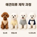 [국비_내일배움카드] 10/10 애견(반려견)패션 실무자 과정 | [국비지원] 국비로 배우는 애견 패션 디자인, 야간 수업 개설!