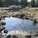 수연목장 이미지