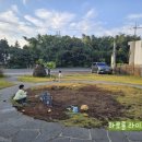 맘스테이 | [제주] 제주 북쪽 조천읍에서 아이랑 머물기 좋았던 가성비 키즈펜션 맘스테이 내돈내산 후기 :)