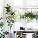 플랜테리어 이미지