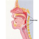 문가정의원 이미지