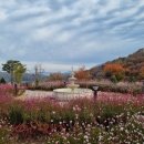 베툴라 자작나무숲 펜션 이미지