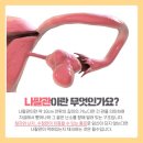 임신 준비 일기 세 번째, 나팔관조영술