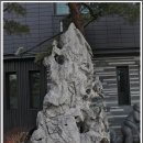 광교호수로-1 이미지