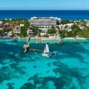 시크릿식당 이미지