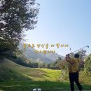 상남동239 이미지